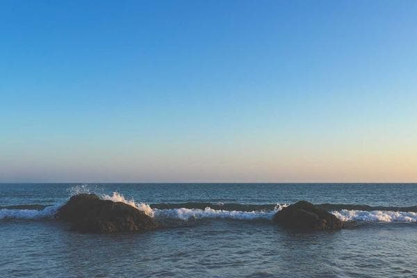 The role of venture studios in the next wave of innovation